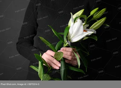 Черная похоронная лента и цветы на сером фоне :: Стоковая фотография ::  Pixel-Shot Studio