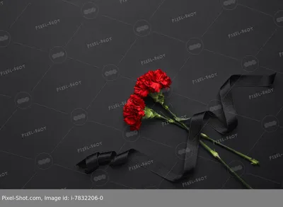 Траурная женщина с цветами лилии и черной лентой на темном фоне :: Стоковая  фотография :: Pixel-Shot Studio