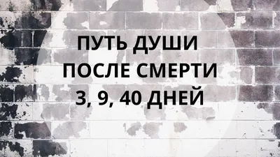 Спикер омского Заксобрания о Немцове: Он радовался первой оранжевой в  Киеве, а я ему: \"Борис, задумайся, что происходит!\" - KP.RU