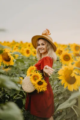 Фотосессия в поле подсолнухов 👗 Платья в аренду и напрокат Story Dress  Москва