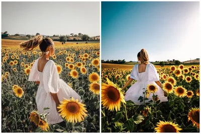 Ещё одно желание этого лета выполнено! Это фото в поле с подсолнухами!🌻🌾  . Теперь это одна из моих любимых серий из фото! А ещё отличное… | Instagram