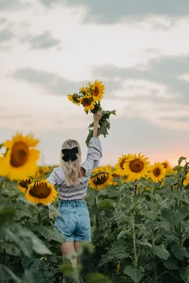 Instagram гомельчанок пестрит фотографиями в подсолнухах