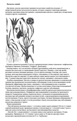 Василька синего цветки 50 г ТРАВЫ БАШКИРИИ 12105219 купить в  интернет-магазине Wildberries