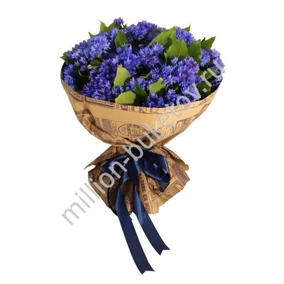 синие цветы васильков на обочине дороги Стоковое Фото - изображение  насчитывающей рост, поле: 224610002