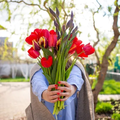 Весна – о чем говорят женщины: Любовь, вечная красота и блеск в глазах -  PrimaMedia.ru