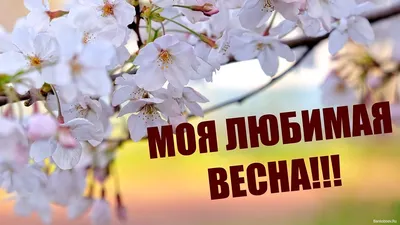 Стихотворение «Весенняя любовь», поэт Снежная Муза