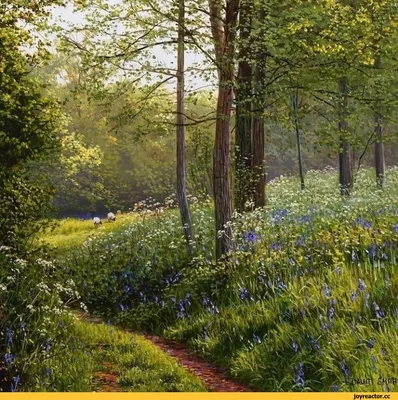 Весна флористическое Walpaper природы Стоковое Фото - изображение  насчитывающей изолировано, свет: 109159006
