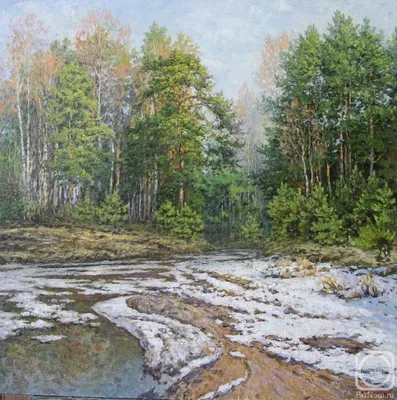 Картина Весна в лесу | Купить авторскую картину Туманова