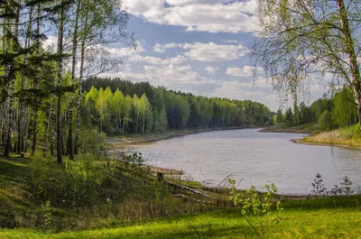 Весна на озере в лесу. Фотограф Александр Березуцкий