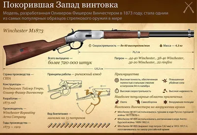 В России выпустят аналог винтовки М16 с мощным отечественным патроном -  Российская газета