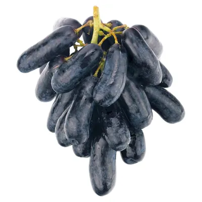 Фото винограда дамский пальчик фотографии