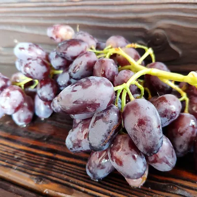 Виноград Дамский пальчик - уход и выращивание сорта
