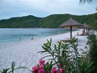 Vinpearl Land Nha Trang - All in One Destination That You Don't Want To  Miss | Local Insider