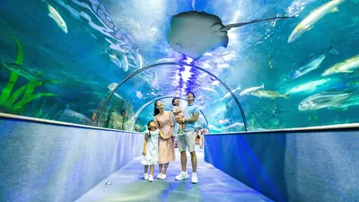 Discover Vinpearl Land Amusement Park in Nha Trang