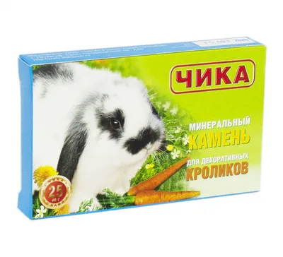 Продам декоративных кроликов: 5 000 тг. - Кролики Астана на Olx