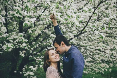 Картинка весна влюбленные целуются возле цветущих деревьев обои на рабочий  стол