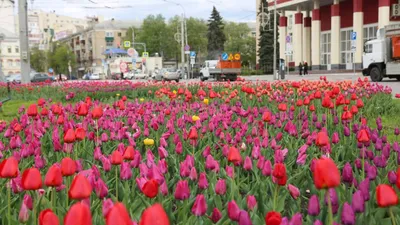 Ранняя весна в Воронеже. Новое место притяжения | Пикабу