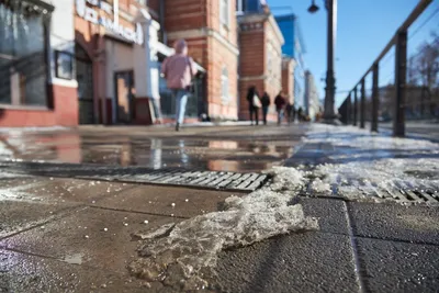 Воронежская область: край пещерных церквей, бобров и неожиданных ландшафтов  - Блог OneTwoTrip