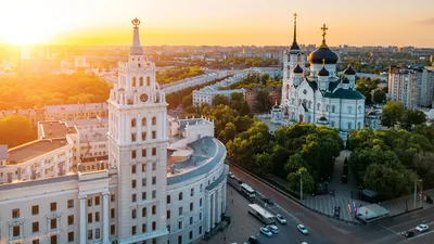 В центре Воронежа выкорчевывают оставшиеся от аварийных деревьев пни