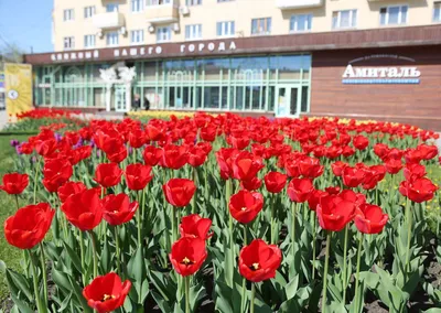 Весенний Воронеж продолжение