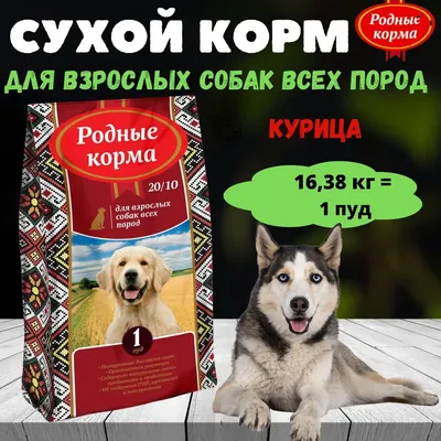 Топ 3 крутейшие породы собак, которые невозможно купить в России | Домашние  питомцы | Дзен