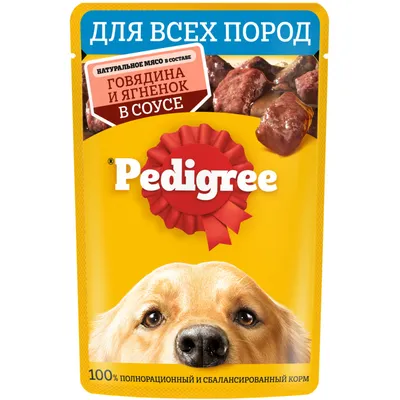 сибирский хребет. набор цветов всех пальто. все породы собак Иллюстрация  вектора - иллюстрации насчитывающей разведенными, шарж: 277218777