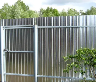Забор из металлопрофиля: какой материал больше подходит, исходя из условий  эксплуатации | ROOF-POINT.RU