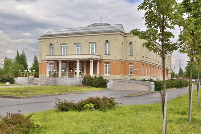 Загсы Санкт-Петербурга какой выбрать? - Апельсин Wedding Company