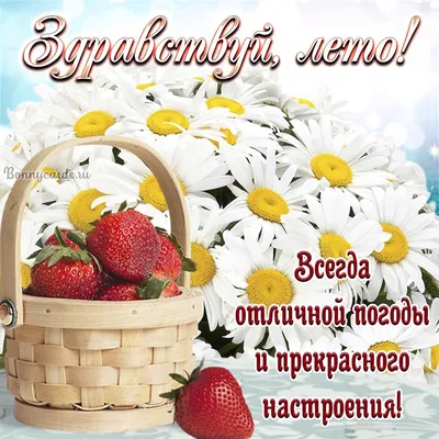 Цикл бесед с детьми \"Здравствуй, лето красное!\"