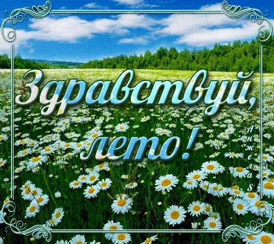 Здравствуй, Лето! | Лето, Счастливые картинки, Милые открытки