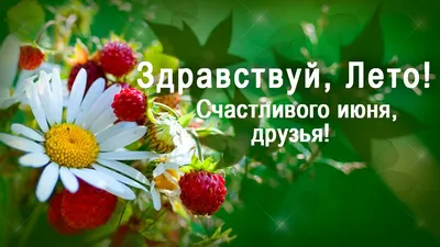 Здравствуй, лето!
