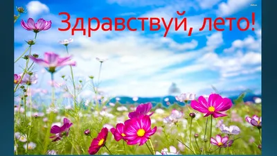 Здравствуй ЛЕТО! ~ Открытка (плейкаст)