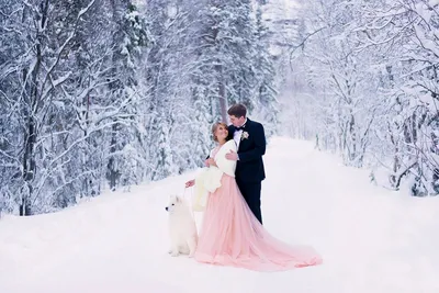 свадьба зимой, зимняя свадьба, невеста зимой, свадебная фотосессия зимой,  зимняя фотосессия жениха и невесты - The-wedding.ru
