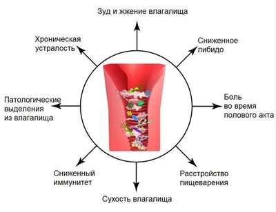 Человеческое влагалище, влагалищное отверстие или женская  воспроизводственная линия элементы полового органа значка вектора искус  Иллюстрация вектора - иллюстрации насчитывающей микстура, конструкция:  149506295