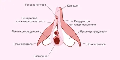Международный день женского оргазма Иллюстрация штока - иллюстрации  насчитывающей чувственность, романско: 80954340