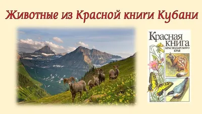 Памятка для владельцев домашних животных в Краснодарском крае! :: Krd.ru