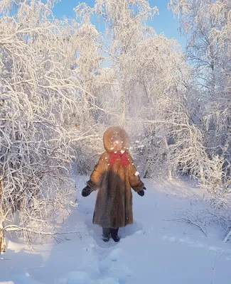 Настоящая зима, наконец, пришла (42 фото) » Невседома - жизнь полна  развлечений, Прикольные картинки, Видео, Юмор, Фотографии, Фото, Эротика.  Развлекательный ресурс. Развлечение на каждый день