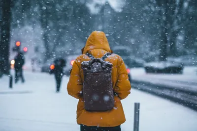 Люди зимой Стоковые фотографии, картинки, все без лицензионных отчислений -  Envato Elements