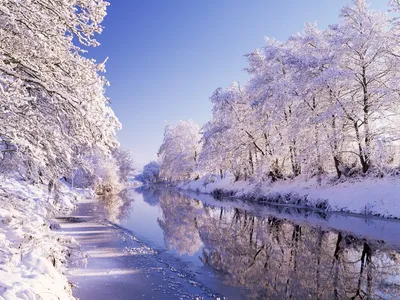 Фото зима природа фотографии