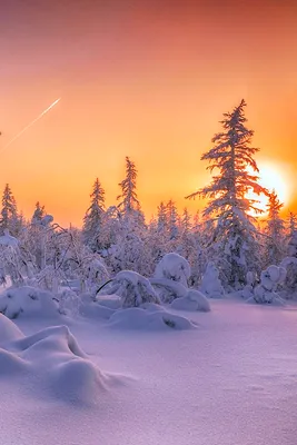 Зимний пейзаж\" Фотообои изготовим точно под размер вашей стены. Купить.