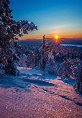 Фото просторы Сибири Зима Природа Времена года