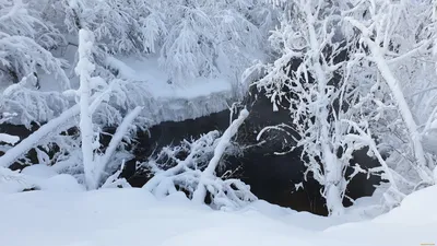 Зима Природа, Снежный Пейзаж, Снеговик Открытки, Рождество Праздничный Фон  Фотография, картинки, изображения и сток-фотография без роялти. Image  49007289