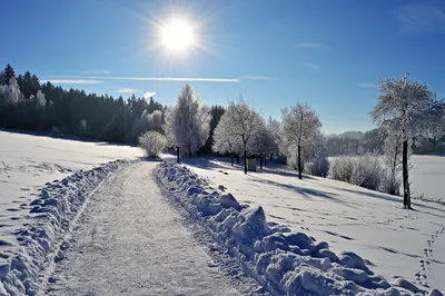 Фото зима солнце фотографии