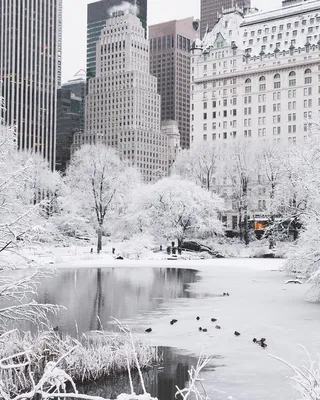 Фото Зимнего Нью Йорка