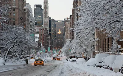 GISMETEO: Зимний шторм в США: погибли четыре человека, Нью-Йорк парализован  снегопадами - Природа | Новости погоды.