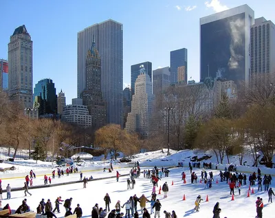 13 способов развлечься во время зимних праздников в Нью-Йорке