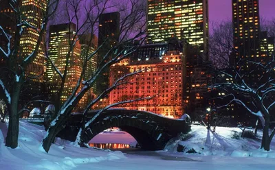 Снеговики в масках и снежный король Манхэттена: красота зимнего Нью-Йорка –  фоторепортаж | Новости Украины | LIGA.net