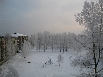 Зимний пейзаж. Вид из окна на Snowcovered во двор. Стоковое Фото -  изображение насчитывающей затишье, дом: 207657126