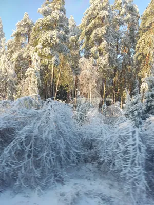 Можно ли менять окна зимой?