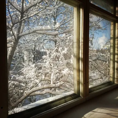 Фото зимы из окна фотографии